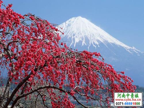 <a href=http://www.cyts.ha.cn/ly/riben/ target=_blank class=infotextkey>日本</a>富士山，河南中青旅，河南旅行社