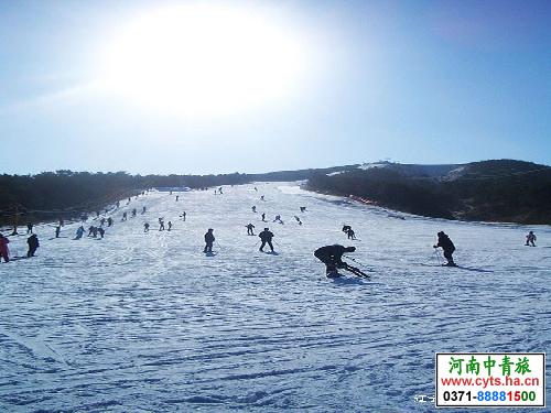 河南青旅 河南中青旅 郑州旅行社