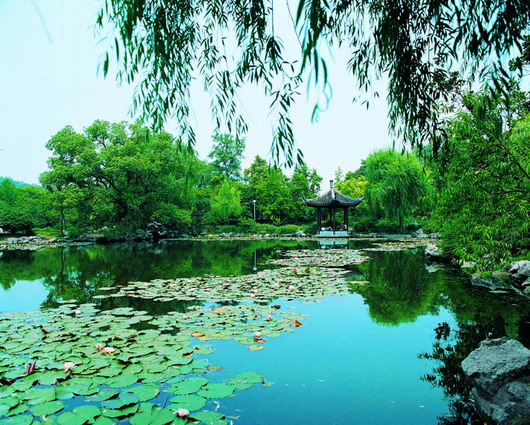 郑州青旅
