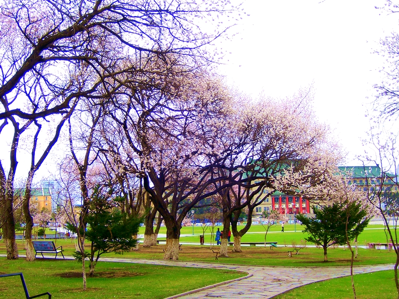 郑州青旅,河南jrs直播nba乐吧_雷速体育很卡_jrs游戏直播公司,东 北长 春