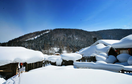 河南青年旅行社,河南旅行社,东 北雪 乡