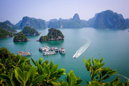 河南中青旅,郑州青旅,越 南