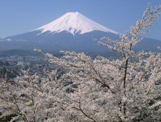 粉雪世界：阿寒湖、旭川、富良野、小樽、札幌豪华六日游（北京起止）
