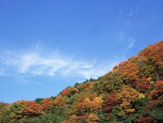 雪国魅力：北海道、札幌、洞爷湖豪华赏雪半自助五日游（北京起止）