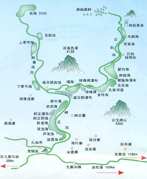 河南中青社