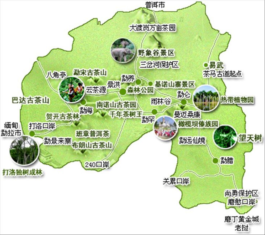 河南青旅