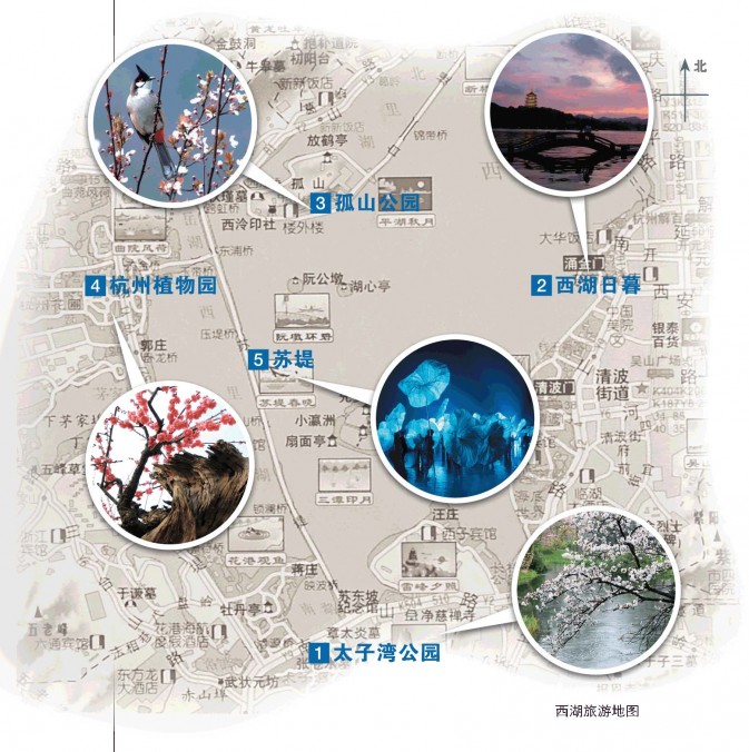 郑州青旅