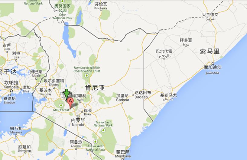 河南中青旅,郑州中青旅,肯尼 亚