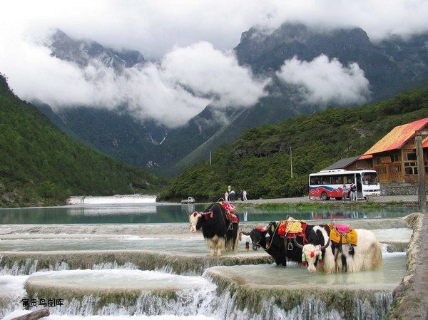 郑州旅行社,河南旅行社,河南中青旅,郑州jrs直播nba乐吧_雷速体育很卡_jrs游戏直播公司,河南jrs直播nba乐吧_雷速体育很卡_jrs游戏直播公司