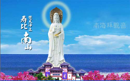 河南中青社
