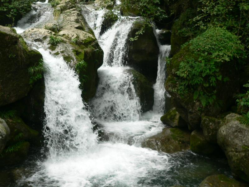 河南中青旅