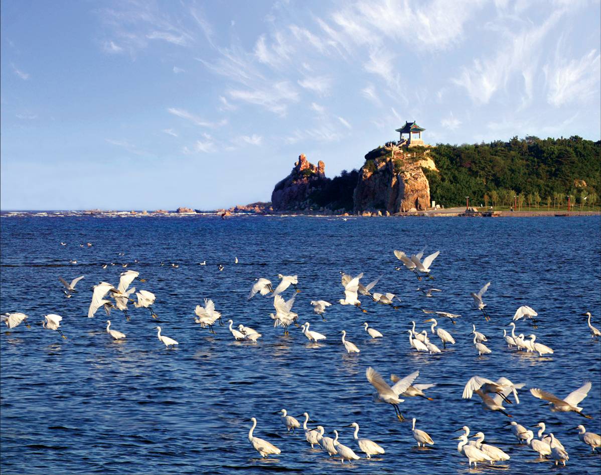 河南青旅