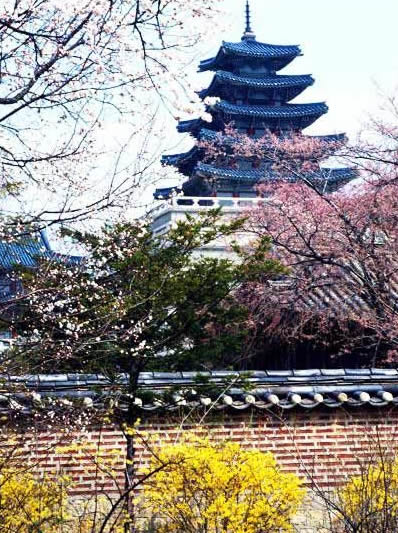 郑州旅行社,河南旅行社,河南中青旅