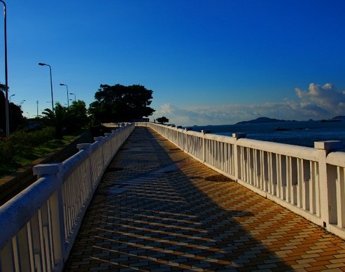 郑州旅行社,河南旅行社,河南中青旅,郑州jrs直播nba乐吧_雷速体育很卡_jrs游戏直播公司,河南jrs直播nba乐吧_雷速体育很卡_jrs游戏直播公司