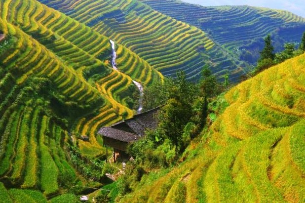郑州旅行社,河南旅行社,河南中青旅,郑州jrs直播nba乐吧_雷速体育很卡_jrs游戏直播公司,河南jrs直播nba乐吧_雷速体育很卡_jrs游戏直播公司