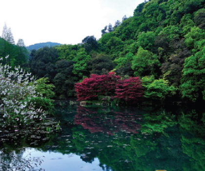 郑州旅行社,河南旅行社,郑州jrs直播nba乐吧_雷速体育很卡_jrs游戏直播公司,河南jrs直播nba乐吧_雷速体育很卡_jrs游戏直播公司