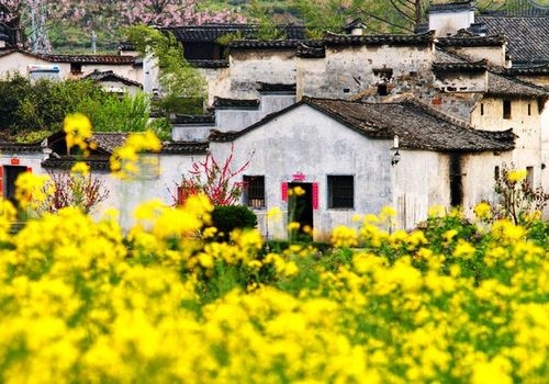 郑州旅行社,河南旅行社,河南中青旅,郑州jrs直播nba乐吧_雷速体育很卡_jrs游戏直播公司,河南jrs直播nba乐吧_雷速体育很卡_jrs游戏直播公司