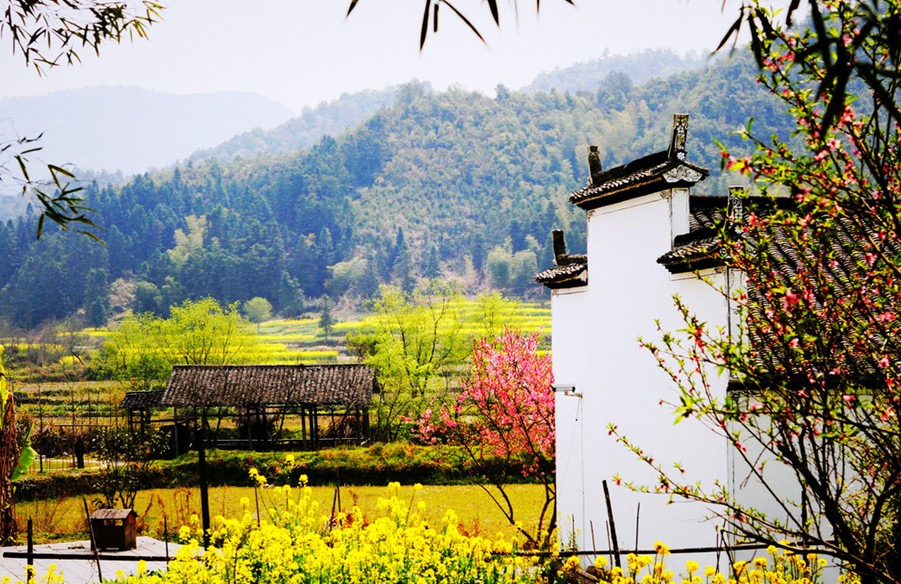 郑州旅行社,河南旅行社,河南中青旅,郑州jrs直播nba乐吧_雷速体育很卡_jrs游戏直播公司,河南jrs直播nba乐吧_雷速体育很卡_jrs游戏直播公司