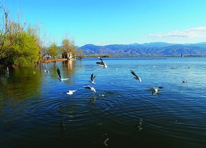 郑州旅行社,河南旅行社,郑州青旅,四 川邛海