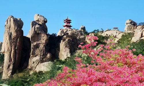 河南青旅,郑州旅行社,山 东日 照