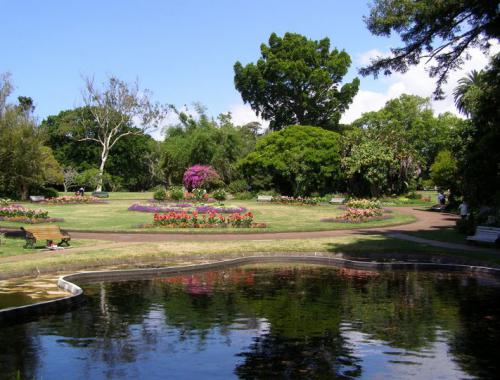 郑州中青旅,河南中青旅,郑州旅行社,新 西兰奥克兰公园