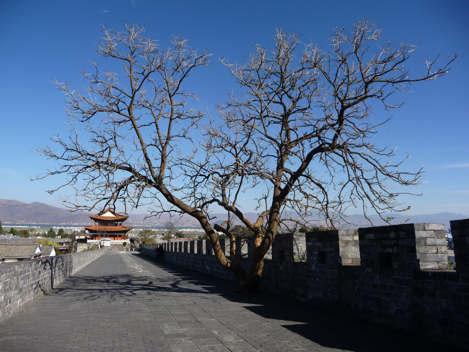 河南中青旅,郑州青旅,大 理