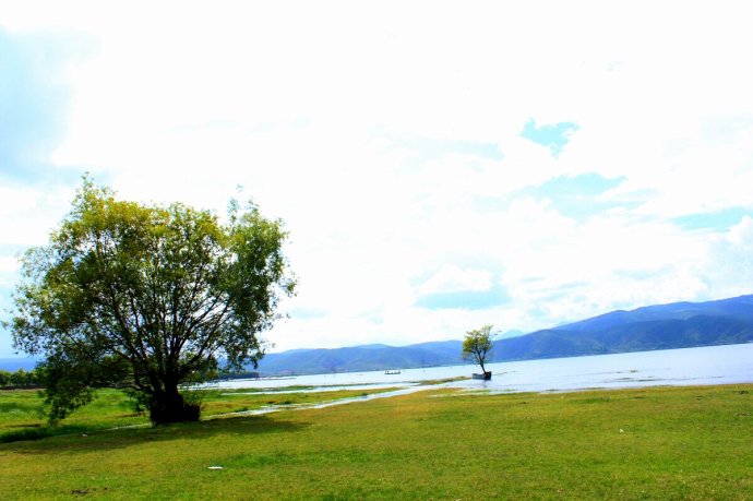 河南中青旅,郑州青旅,丽 江