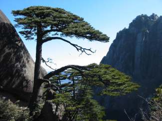 安徽黄山千岛湖双卧六日游