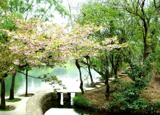 最炫民族风：贵州黄果树、荔波大小七孔、西江双卧八日游