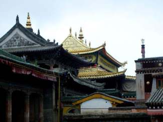 沙湖影视城贺兰山岩画沙波头青海塔尔寺经典三卧六日游