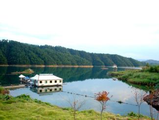 黄山千岛湖婺源双卧七日游