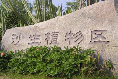 河南省青旅