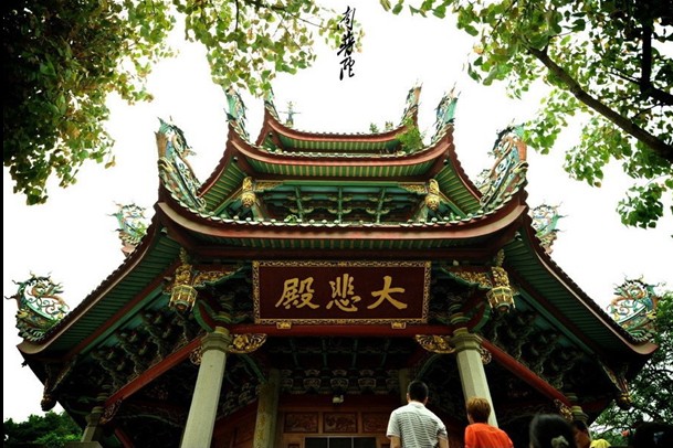 河南省青旅