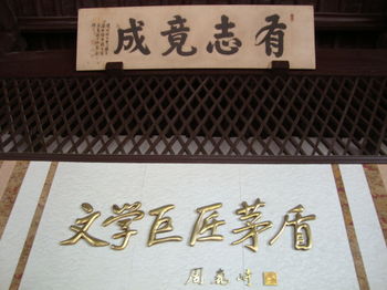 郑州青旅