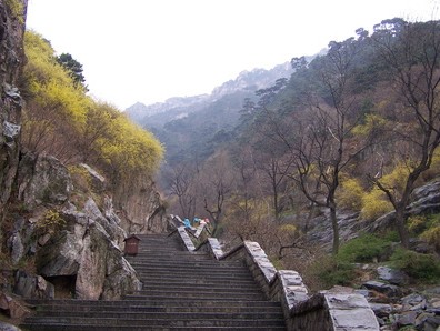 河南青旅