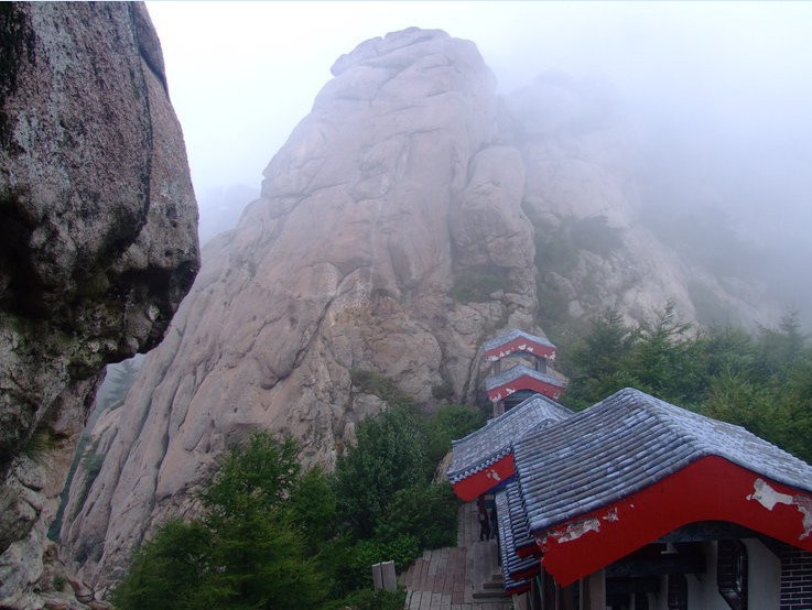 河南省青旅