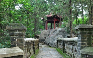 郑州中青旅