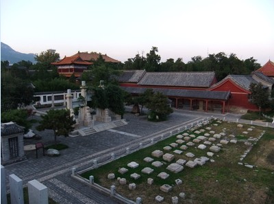 河南青旅