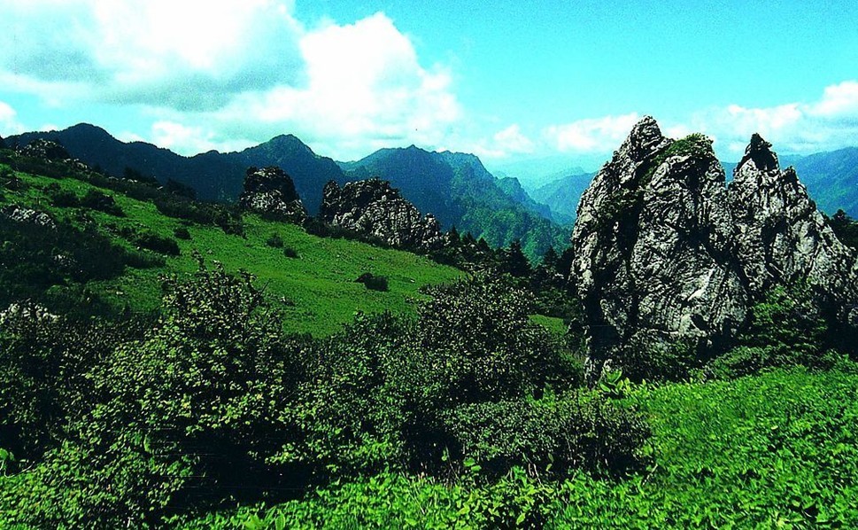 郑州青旅
