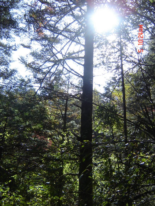 郑州青旅