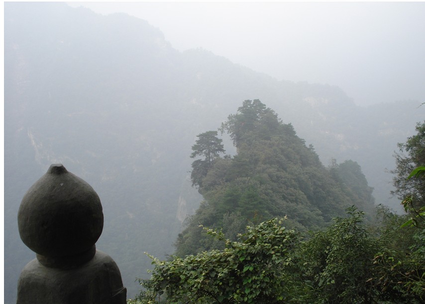 郑州青旅