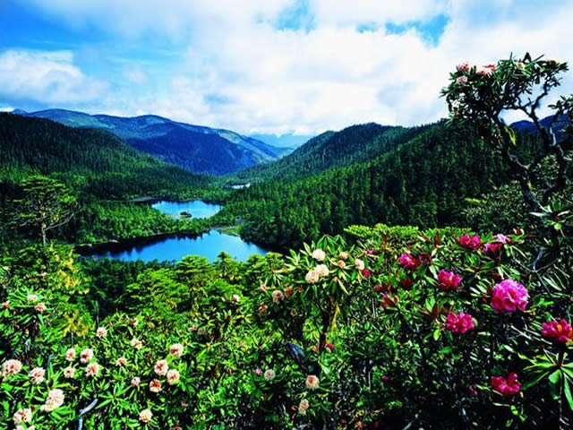 郑州旅行社,河南旅行社,河南中青旅,郑州jrs直播nba乐吧_雷速体育很卡_jrs游戏直播公司,河南jrs直播nba乐吧_雷速体育很卡_jrs游戏直播公司