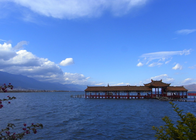 河南青旅