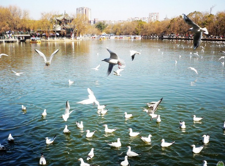 郑州旅行社,河南旅行社,河南中青旅,郑州jrs直播nba乐吧_雷速体育很卡_jrs游戏直播公司,河南jrs直播nba乐吧_雷速体育很卡_jrs游戏直播公司