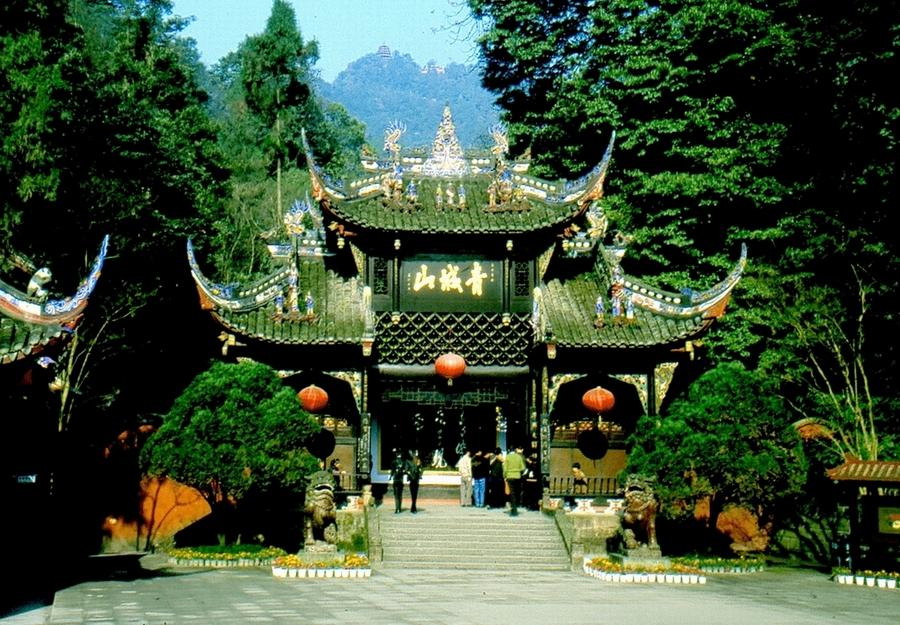 河南青旅
