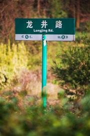 郑州青旅