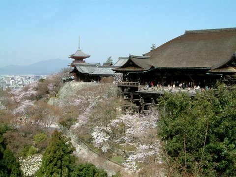 河南青旅