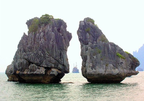 河南青旅