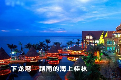 河南青旅