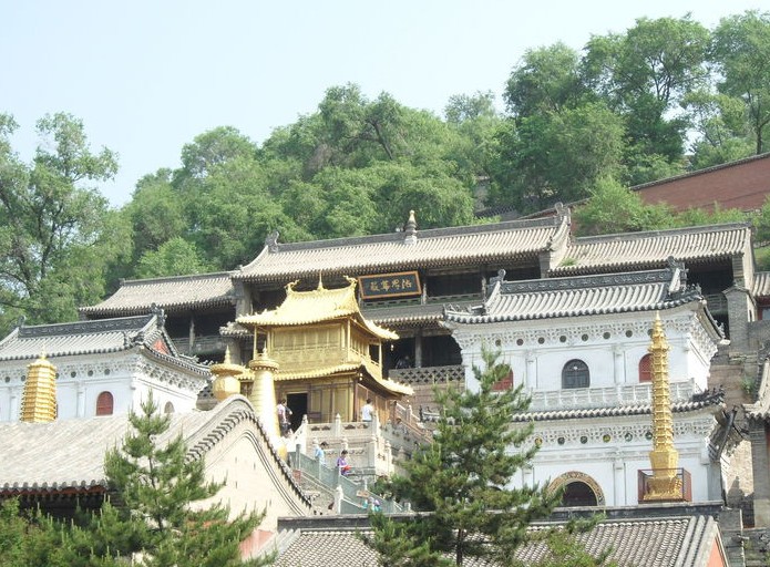 河南青旅